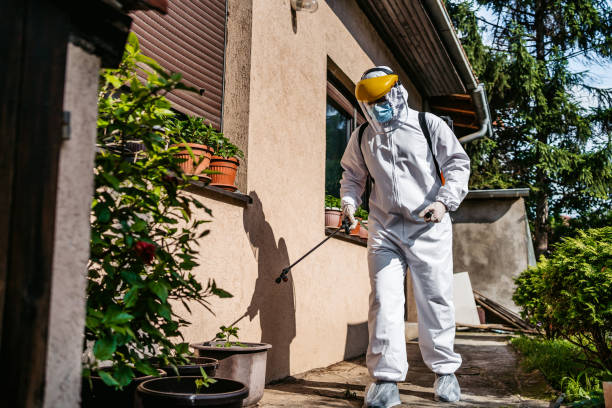 Pest Control Cost in Rockwall, TX